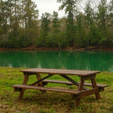 picnic table at pond