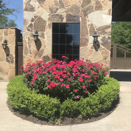 flowers in front of building