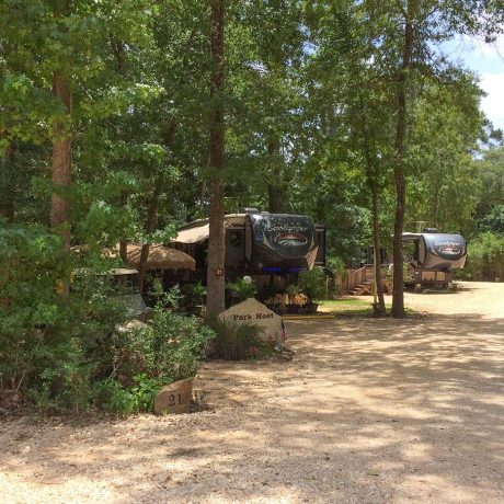 parked RVs on lots with trees